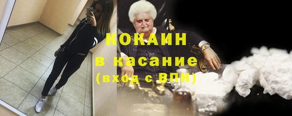 гашик Алексеевка