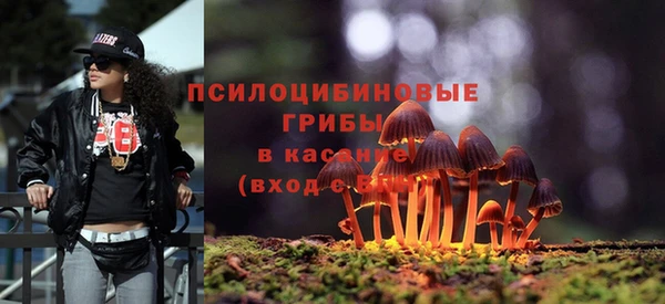 прущие крисы Алзамай