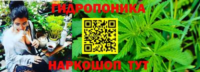 гашик Усть-Илимск