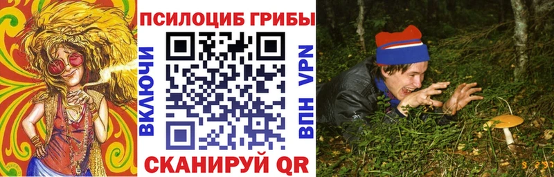 Псилоцибиновые грибы Cubensis  Узловая 