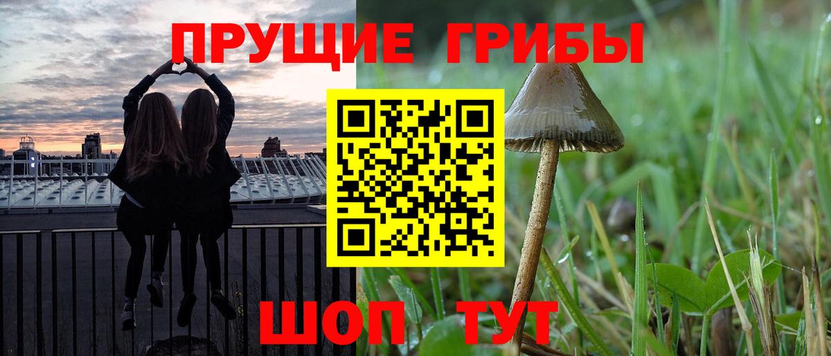 Галлюциногенные грибы мухоморы  Вход с VPN  Узловая  Псилоцибиновые грибы мухоморы 